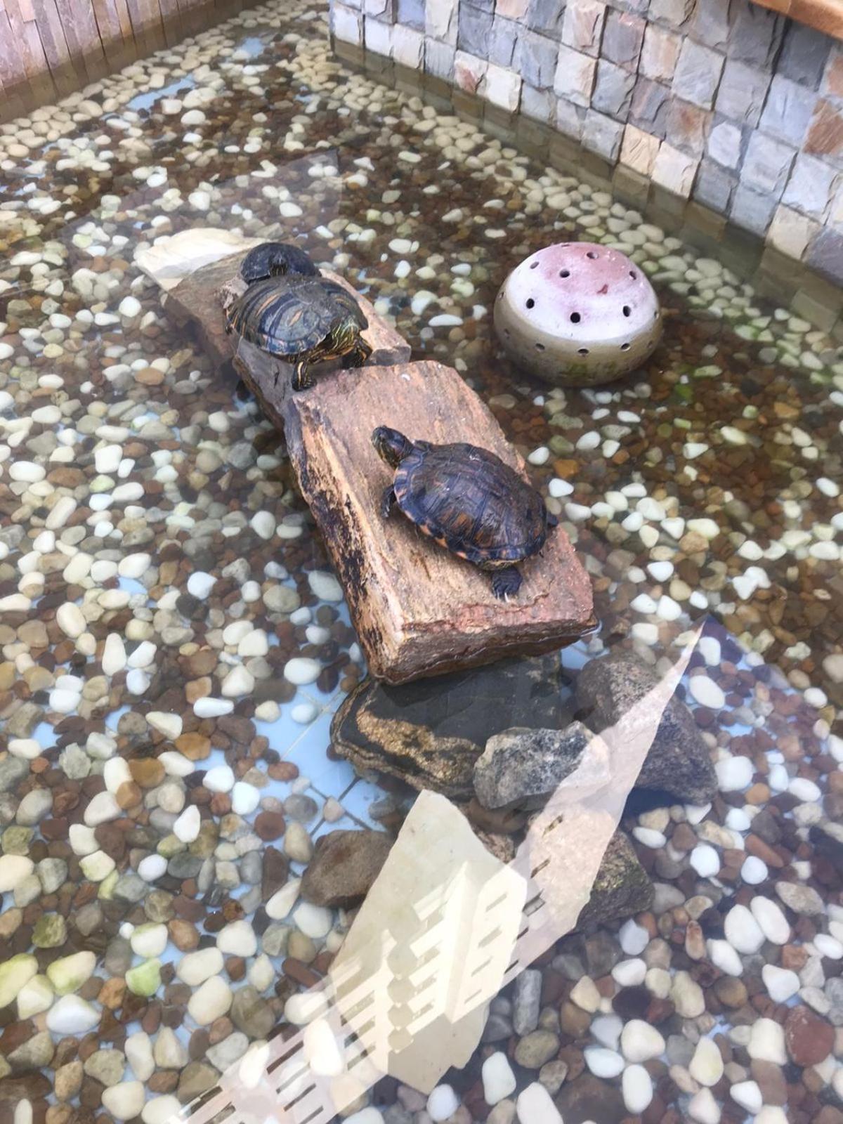 Apto No Tombo 公寓 Guarujá